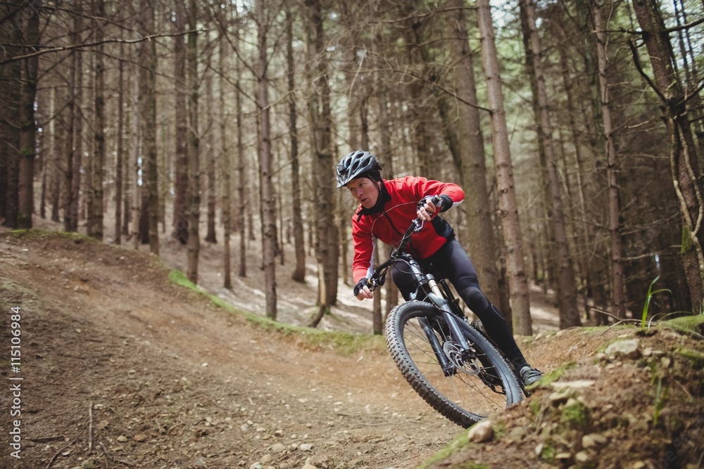 Mountain biker riding on dirt road amidst tree in forest Mountain biker riding on dirt road amidst tree in forest