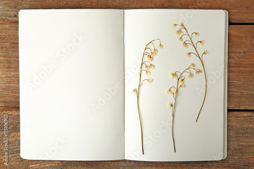 Beautiful dried blossoms in notebook on wooden background