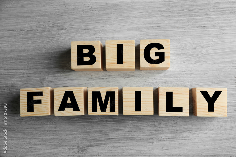Words BIG FAMILY on light background