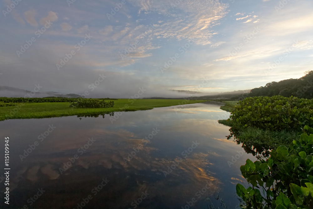 Fototapeta premium Brume et lever du jour sur les marais de Kaw en Guyane française