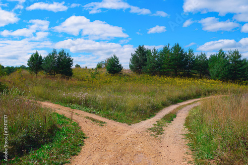 Rural landscape with crossroad