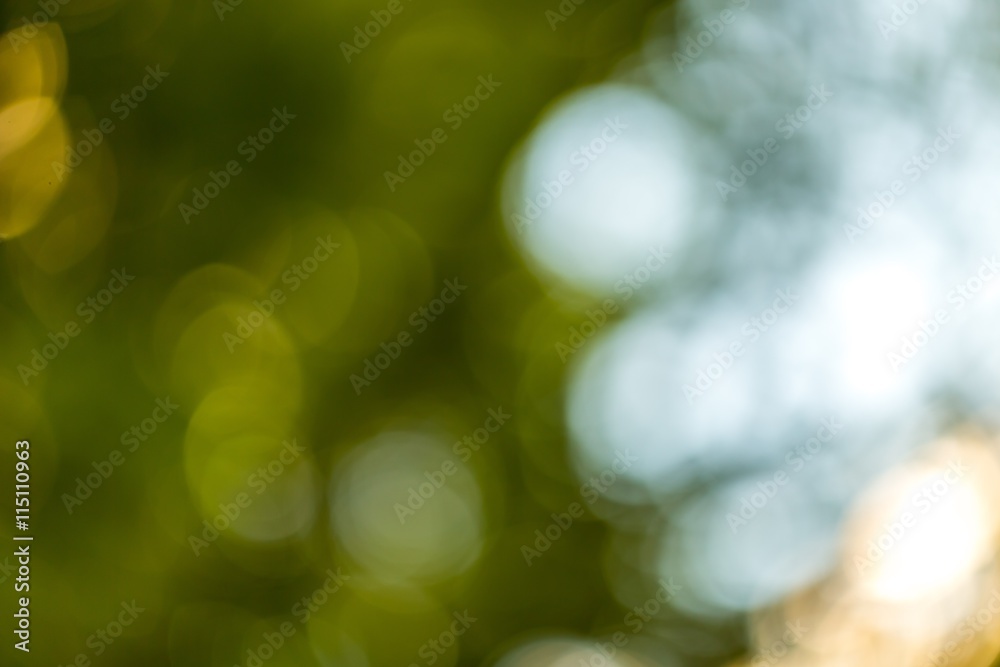 Beautiful natural bokeh background Beautiful natural bokeh background