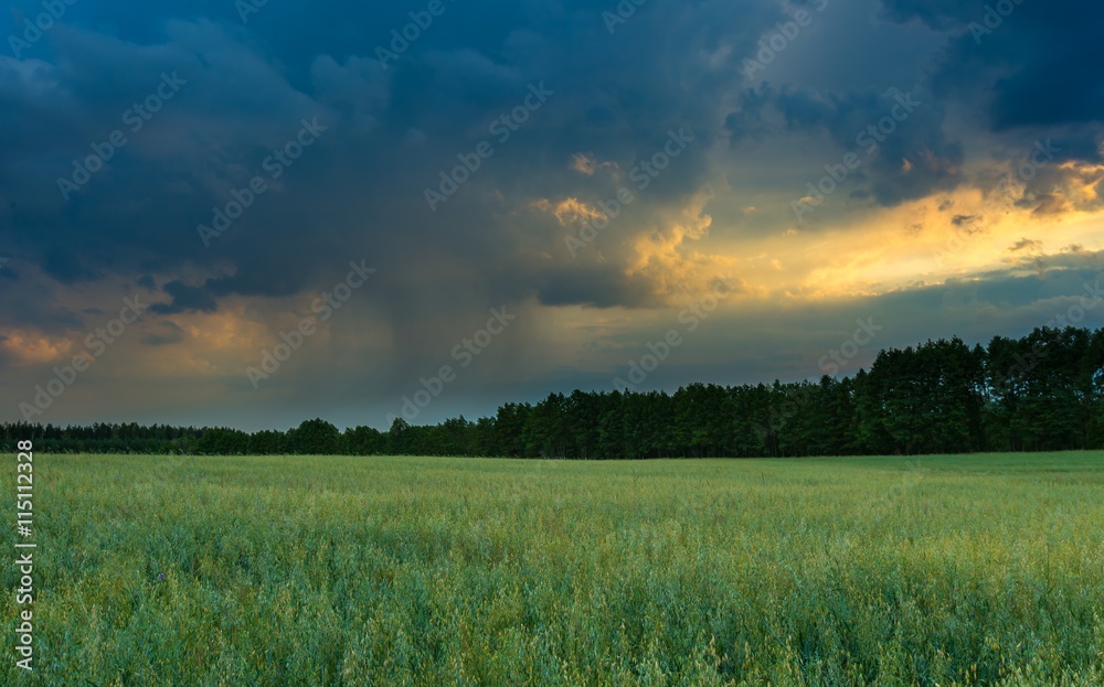 Beautiful stormy sky over fields in Poland