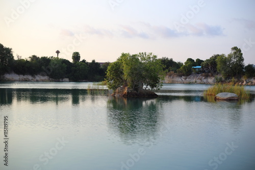 Lake and tree