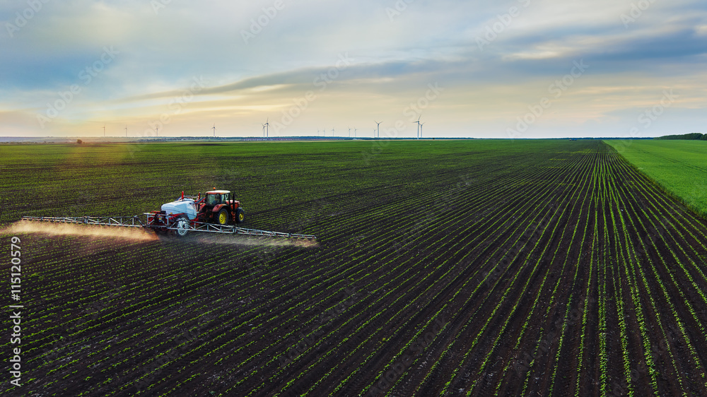 Fototapeta premium Tractor spraying field at spring