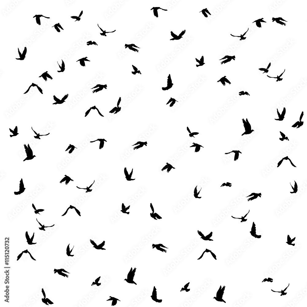 Doves and pigeons set for peace concept and wedding design. Flying dove sketch set. Vector