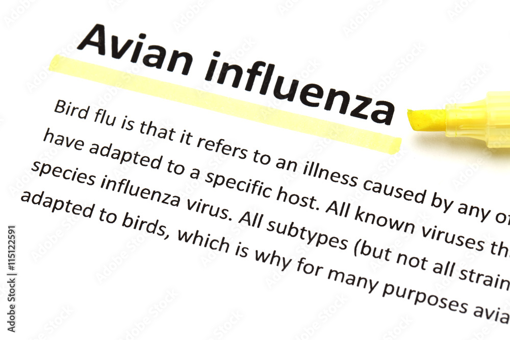 English dictionary means of Avian influenza English dictionary means of Avian influenza