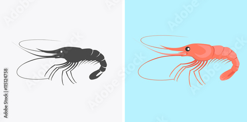 Oysters Variations Vector Illustration