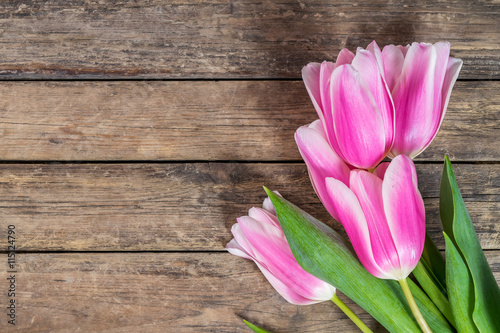 Fototapeta Naklejka Na Ścianę i Meble -  Fine Tulip Flowers