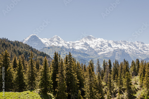 Grindelwald, Alpen, Schweizer Berge, Eiger, Mönch, Jungfrau, Schynige Platte, Berner Oberland, Wanderweg, Wanderferien, Sommer, Schweiz