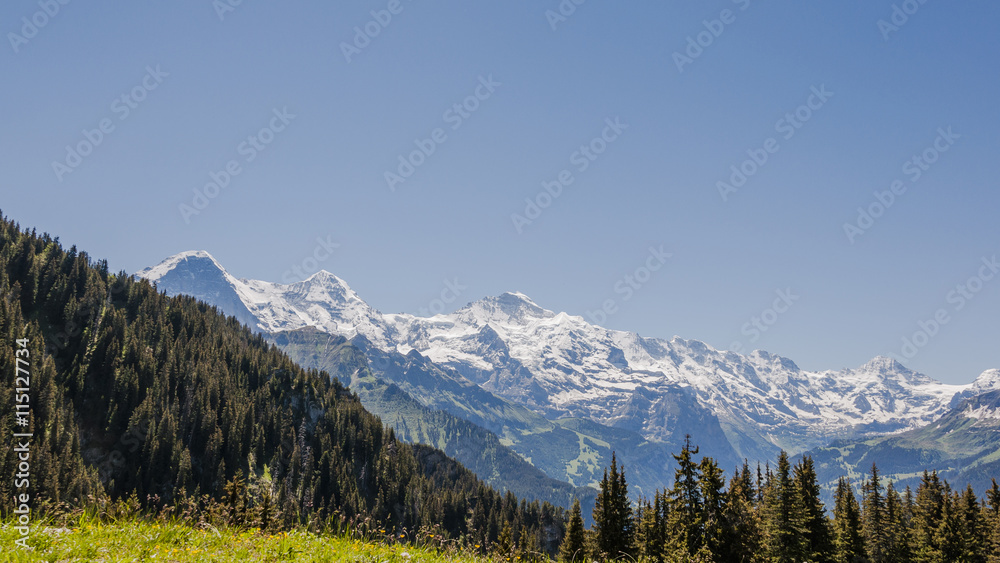 Grindelwald, Berner Oberland, Schynige Platte, Eiger, Mönch, Jungfrau, Wanderferien, Wanderweg, Alpen, Schweizer Berge, Sommer, Schweiz
