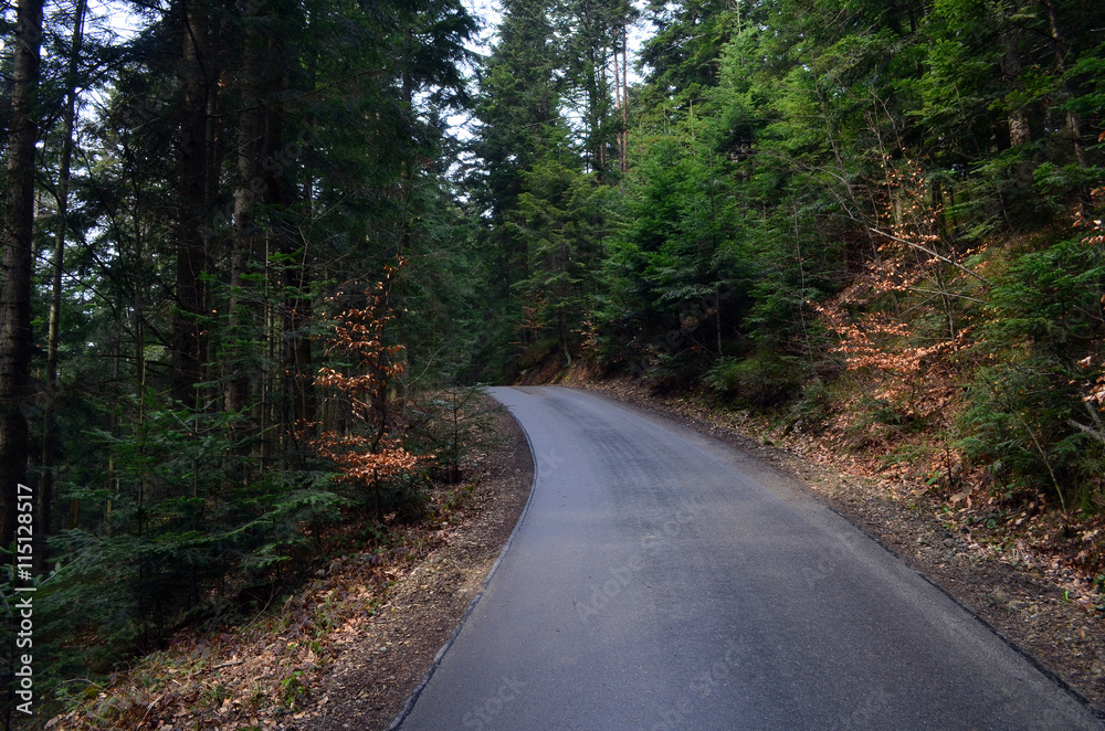 Fototapeta premium las