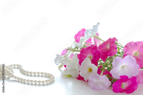Bouquet of pink petunias