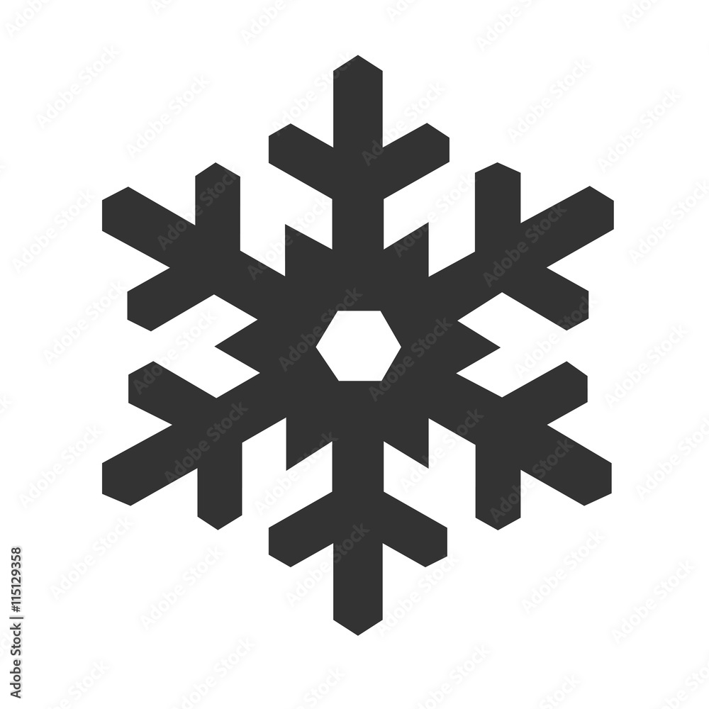 Snowflake icon isolated on a white background. Vector illustration.