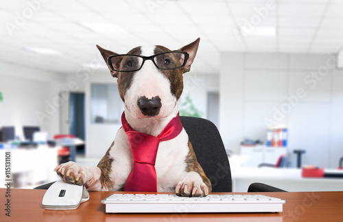 Business dog at work