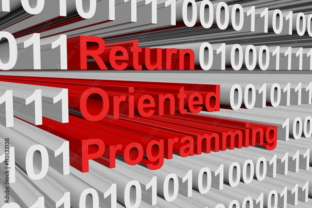return oriented programming in the form of binary code, 3D illustration