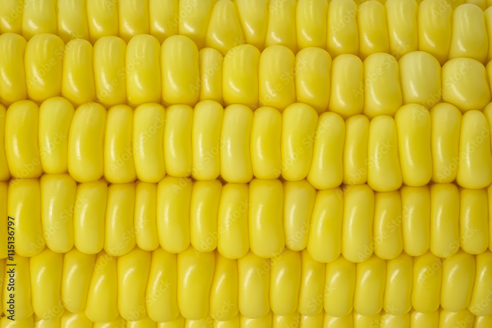 Close up view of fresh corn cobs Close up view of fresh corn cobs