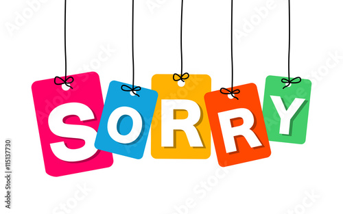 Vector colorful hanging cardboard. Tags - sorry