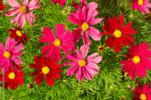 Schmuckkörbchen photo