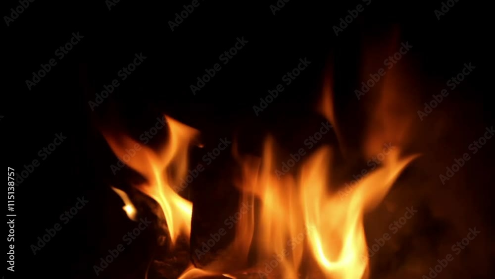wood burning in a campfire wood burning in a campfire
