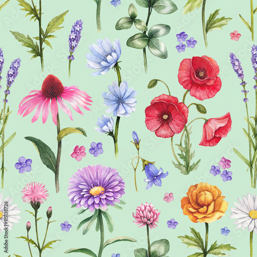 Wild flowers illustrations. Watercolor seamless pattern