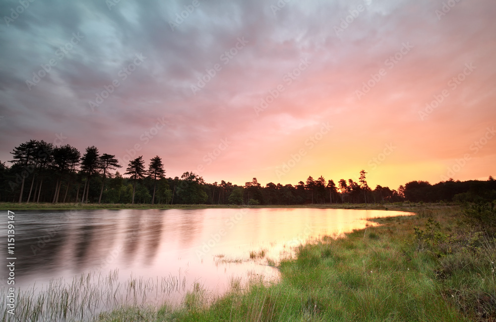 Obraz premium sunrise on wild forest lake