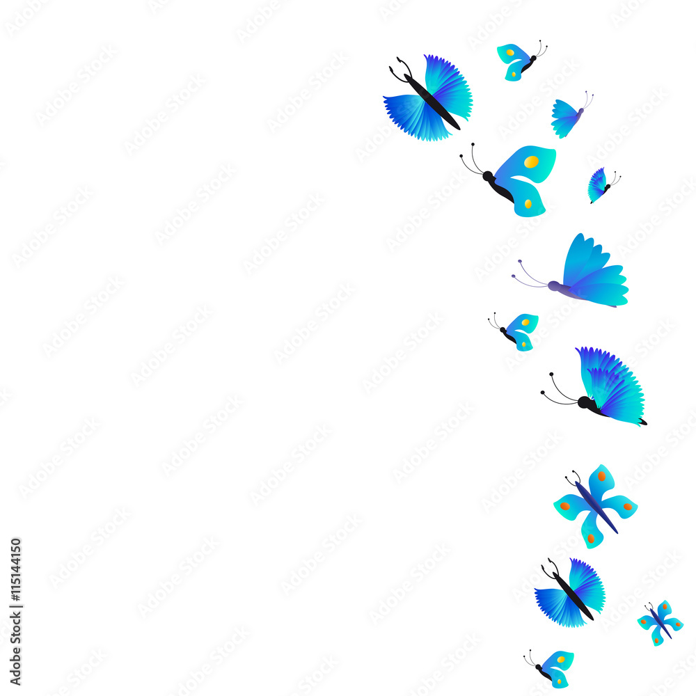 butterfly butterfly