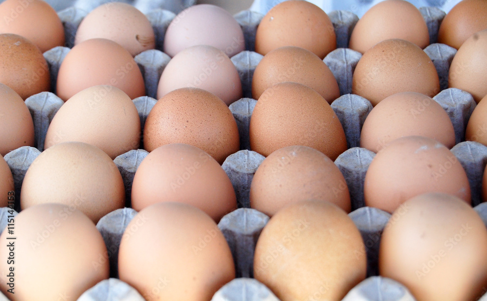 organic eggs in egg box