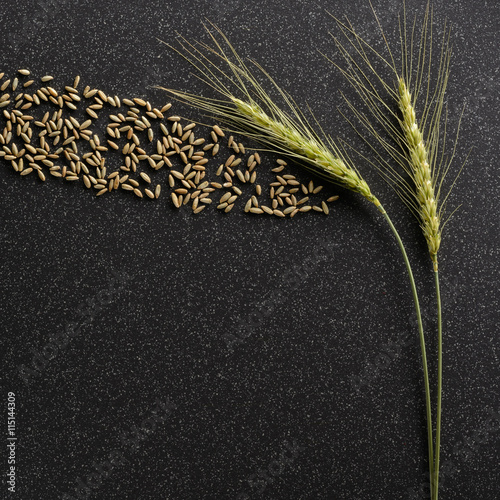 Rye grains ejected from the ears