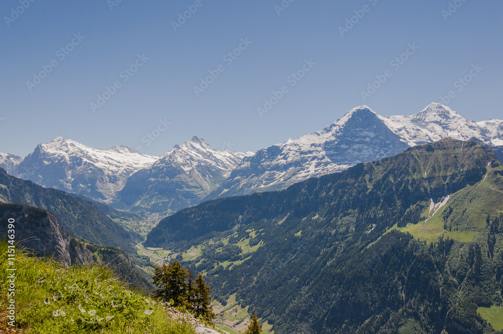 Grindelwald, Dorf, Schynige Platte, First, Eiger, Mönch, Jungfrau Schreckhorn, Wetterhorn, Wanderweg, Alpen, Sommer, Schweiz