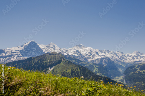 Interlaken, Berner Oberland, Alpen, Schynige Platte, Eiger, Mönch, Jungfrau, First, Wanderweg, Sommer, Schweiz