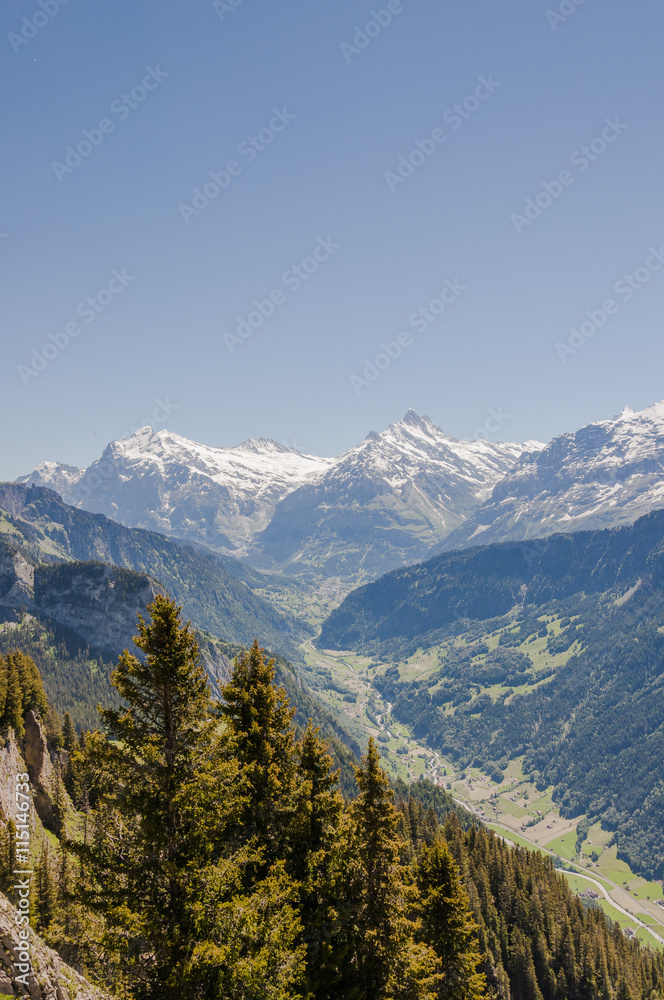 Grindelwald, Dorf, Berner Oberland, Alpen, Wetterhorn, Schreckhorn, Eiger, First, Schynige Platte, Wanderferien, Schweizer Berge, Sommer, Schweiz