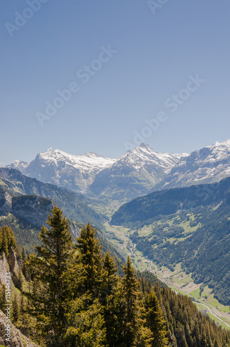 Grindelwald, Dorf, Berner Oberland, Alpen, Wetterhorn, Schreckhorn, Eiger, First, Schynige Platte, Wanderferien, Schweizer Berge, Sommer, Schweiz