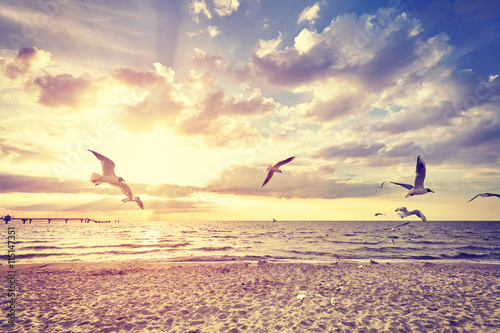 Vintage toned beach with flying birds at sunset © MaciejBledowski