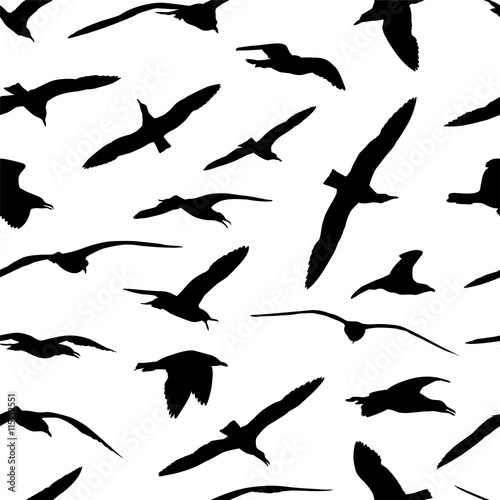 sea gull seamless pattern © Crazy nook