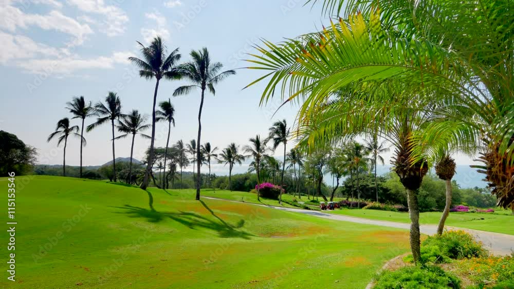 4K Lush Palm Tree Leaves and Palm Trees and Green Golf Course 4K Lush Palm Tree Leaves and Palm Trees and Green Golf Course