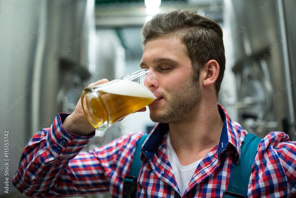 Fototapeta premium Brewer testing beer