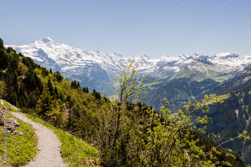 Interlaken, Berner Oberland, Eiger, Mönch, Jungfrau, Alpen, Schynige Platte, Wanderweg, Wanderferien, Sommer, Schweiz