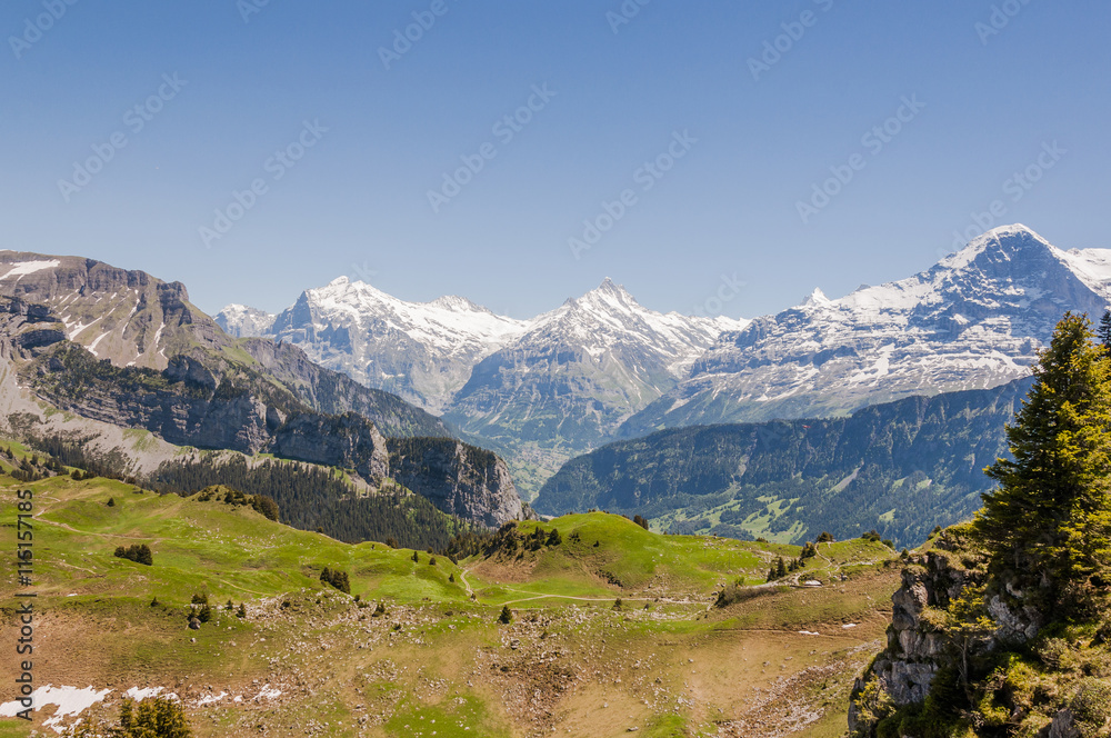 Interlaken, Alpen, Schweizer Berge, Berner Oberland, Schynige Platte, Eiger, Schreckhorn, Wetterhorn, Wanderweg, Sommer, Schweiz