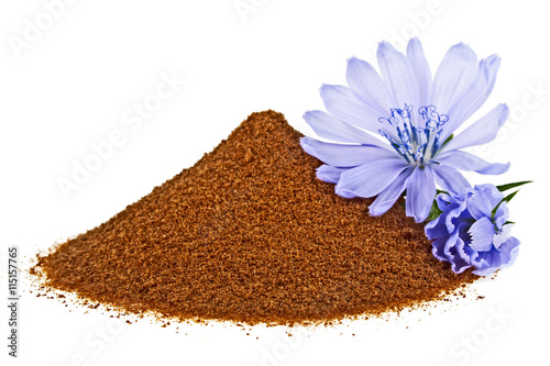 Blue chicory flower and powder of instant chicory isolated on a photo