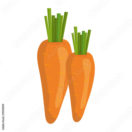 Fresh vegetable isolated icon design, healty food concept vector illustration.