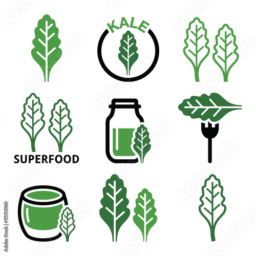 Superfood - kale leaves vector green icons set 