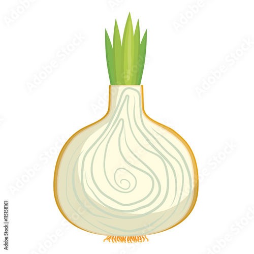 Fresh vegetable isolated icon design, healty food concept vector illustration.