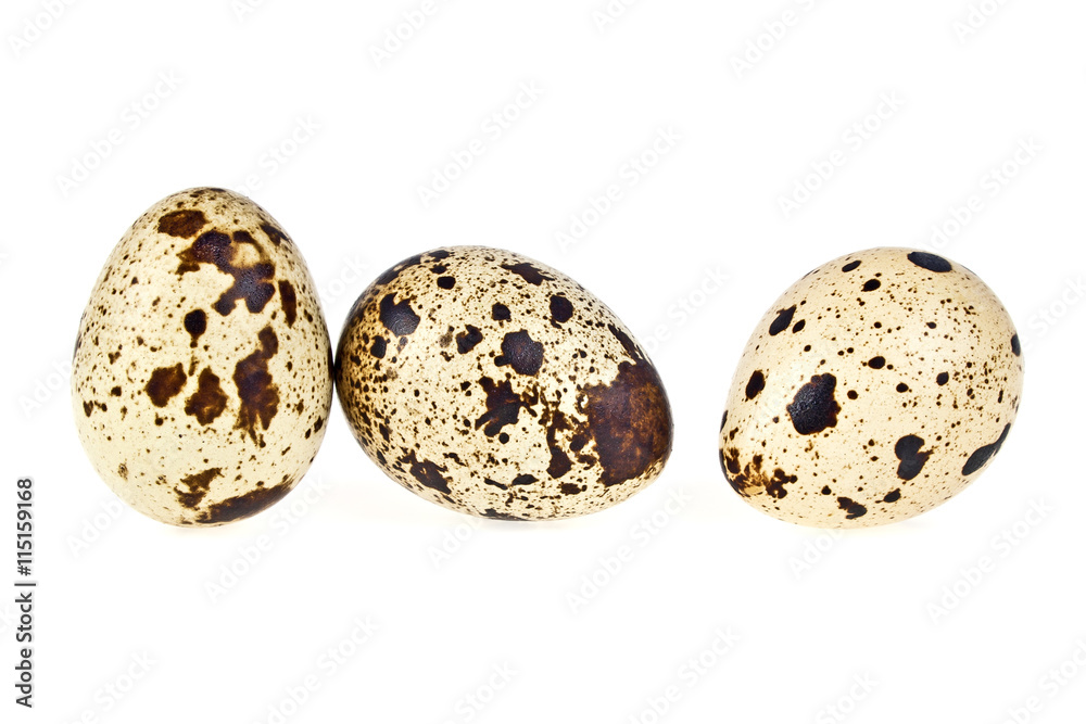 Group of quail eggs, isolated on white background Group of quail eggs, isolated on white background