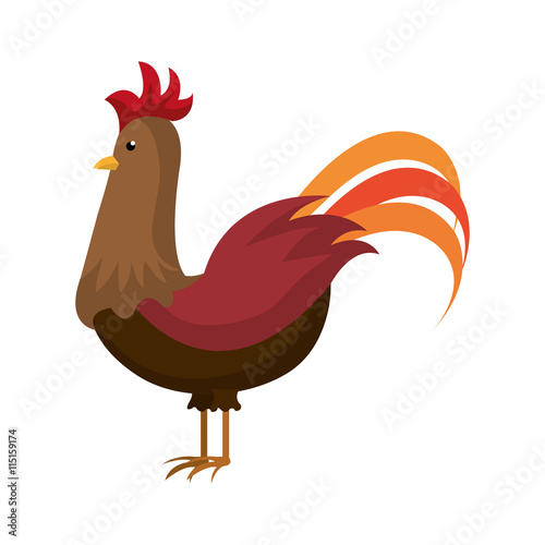 Rooster farm animal cartoon, isolated icon vector illustration graphic.