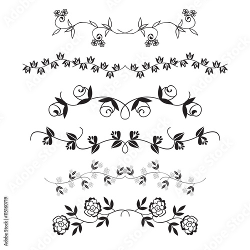 Flower dividing line, Hand drawn flower line border