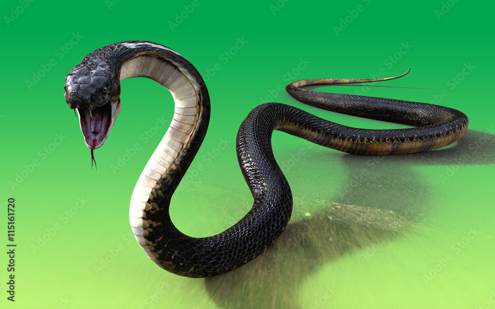 Fototapeta premium 3d King cobra snake isolated on green background, cobra snake