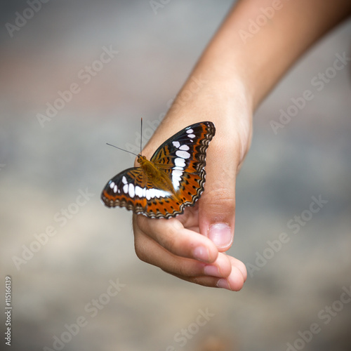 Beautiful butterfly sitting on the hand and finger