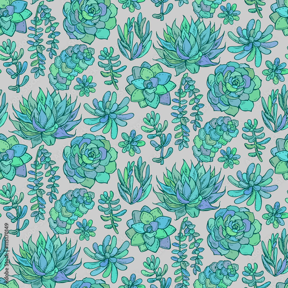 Obraz premium Vector seamless pattern with hand drawn color succulent plants.