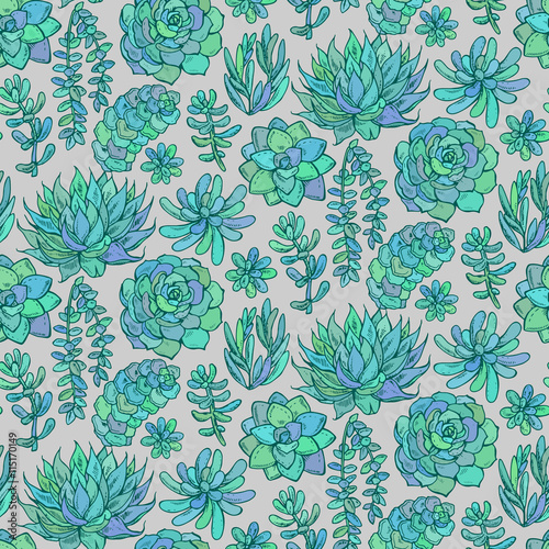 Vector seamless pattern with hand drawn color succulent plants.